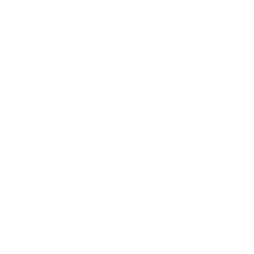 Arrow Left icon