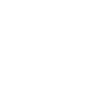 Banknote icon