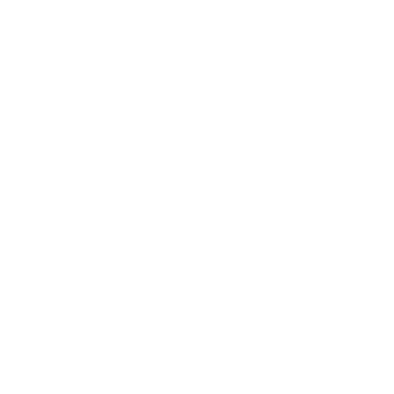 Battery 100 icon