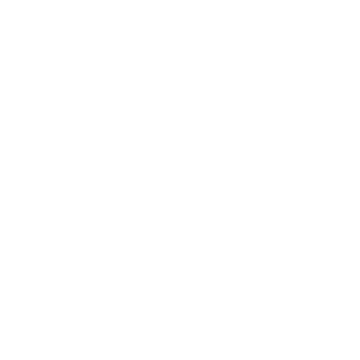 Battery 25 icon