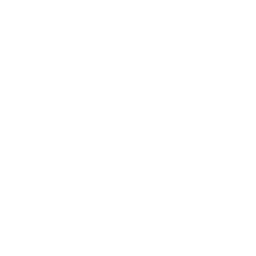 Bolt Vertical Slash icon
