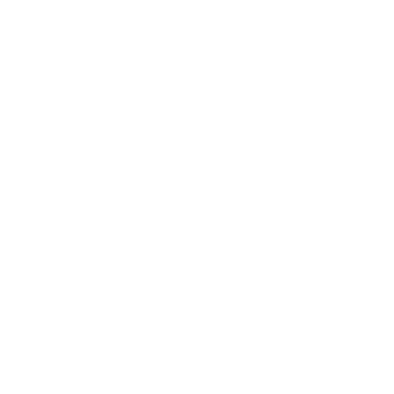 Bullseye icon