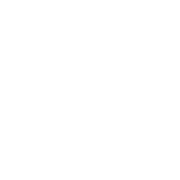 Cake icon