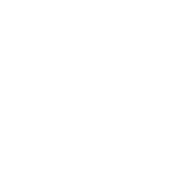 Camera Slash icon