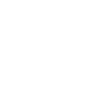 Chat Bubble icon