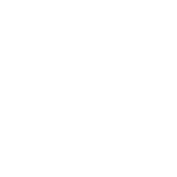 Check icon