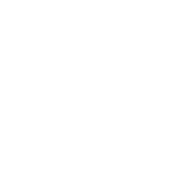 Exclamation Triangle icon