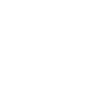 Eye Slash icon