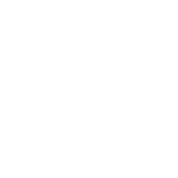 Fast Backward icon