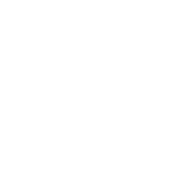Film Strip icon