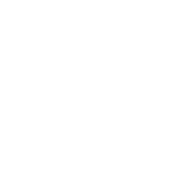 Flame icon