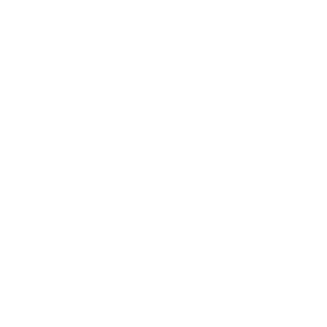 Floppy Disc icon