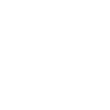 Home icon
