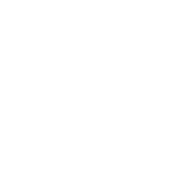 Image icon