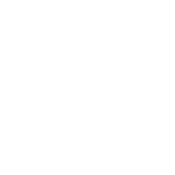 Life Buoy icon