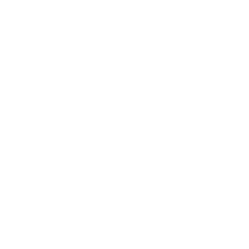 Lightbulb icon