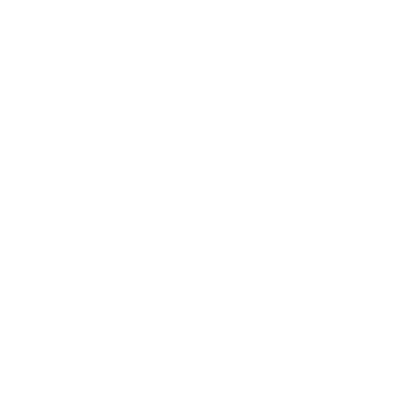 Link icon
