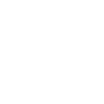 Magic Wand icon