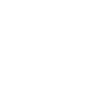 Navigation icon