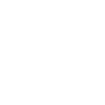 Plane icon