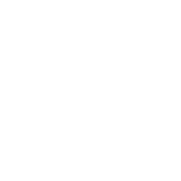 Pound icon