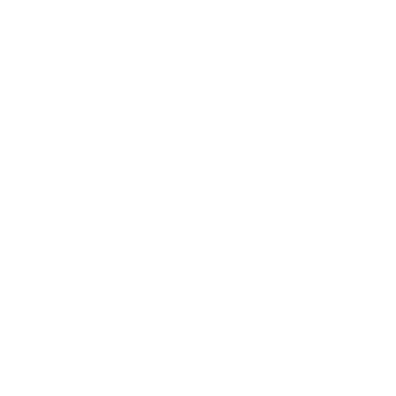 Seal Check icon