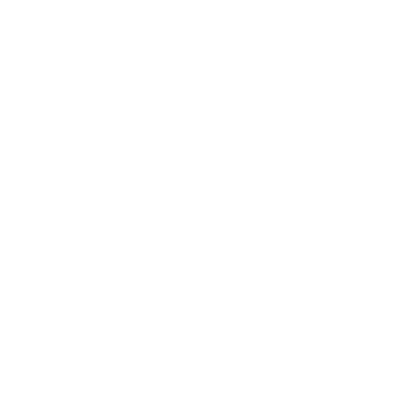 Servers icon