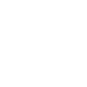 Shield icon