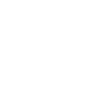 Skip Backward icon
