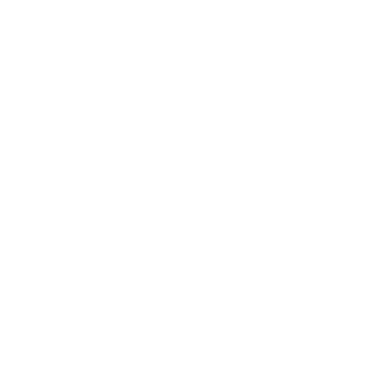 Skip Forward icon