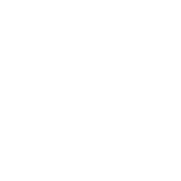 Smartphone icon