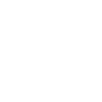Suitcase icon