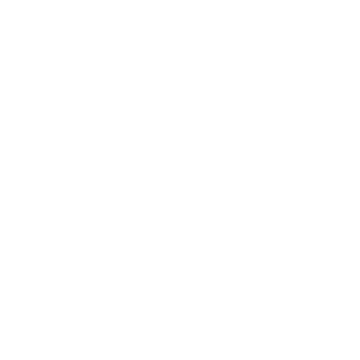 Toggle Left icon