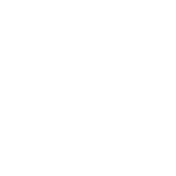Train icon